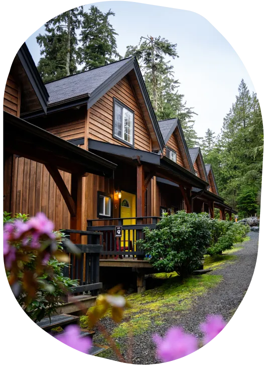 modern individual cabins in the woods with little porches and flowers