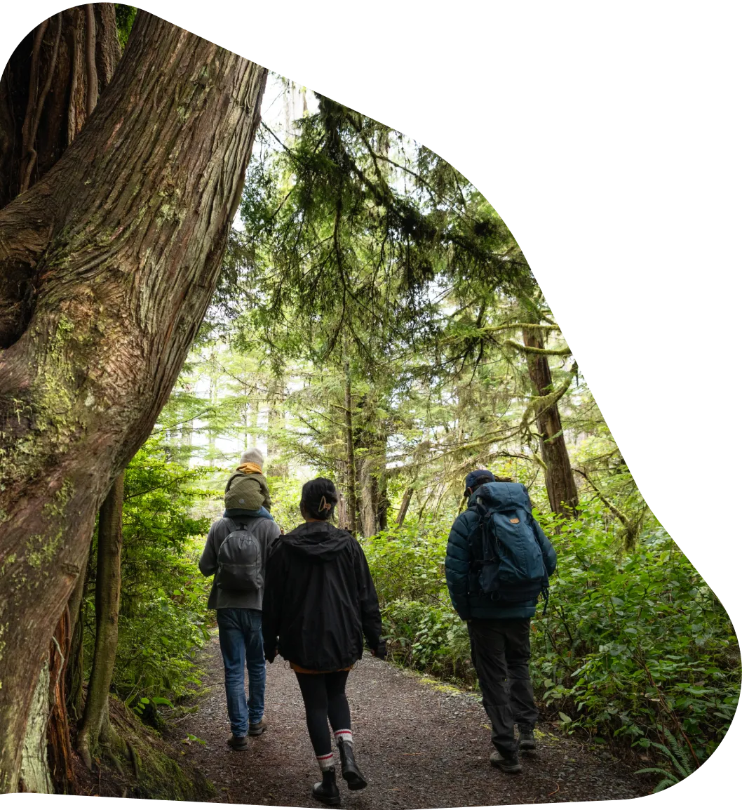 Cyclist exploring the forest and trails